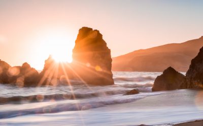 What’s your life purpose, here’s what I think…
