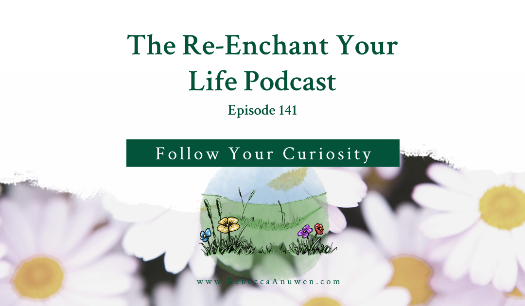Follow Your Curiosity