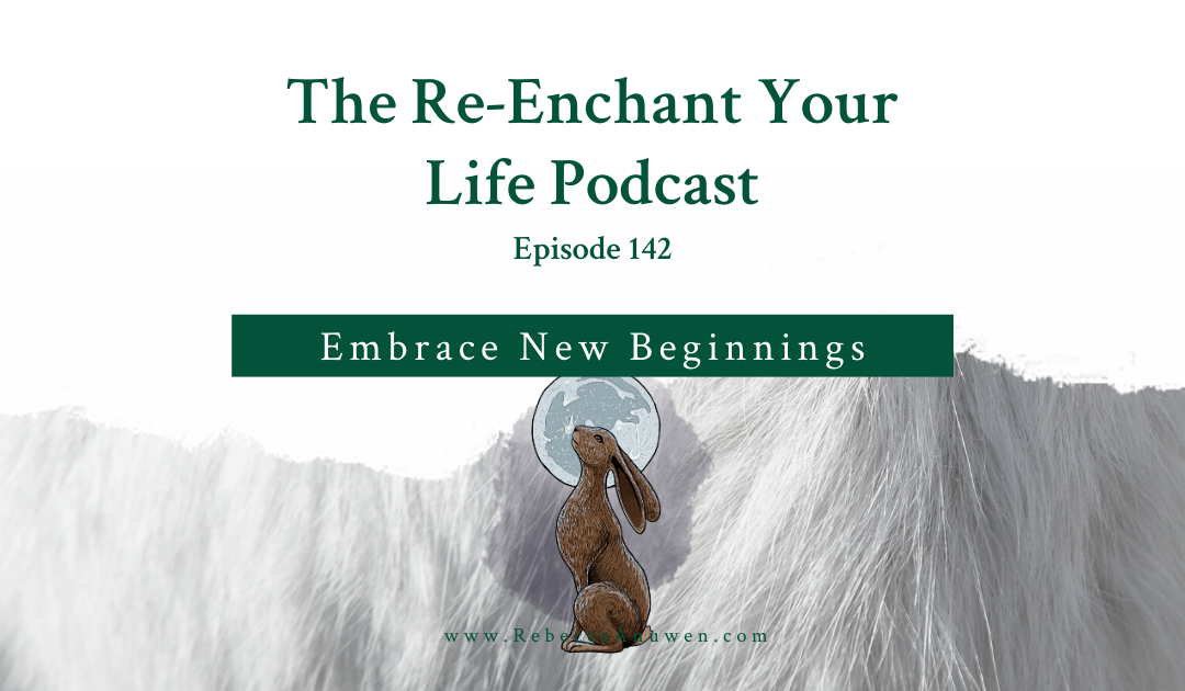 Embrace New Beginnings