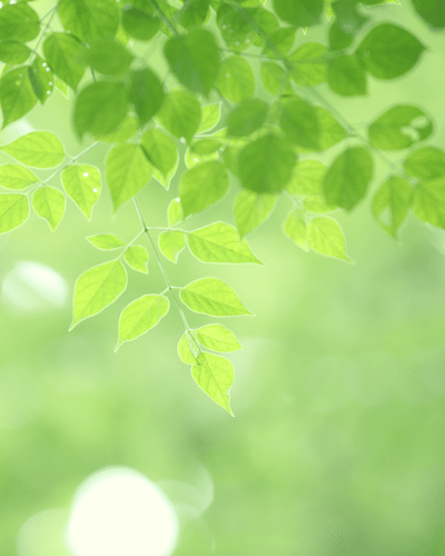 Energetic Health 3 steps for energetic health with Rebecca Anuwen