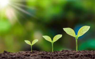 MMM… Observing the seasons and recognising your (changing) needs