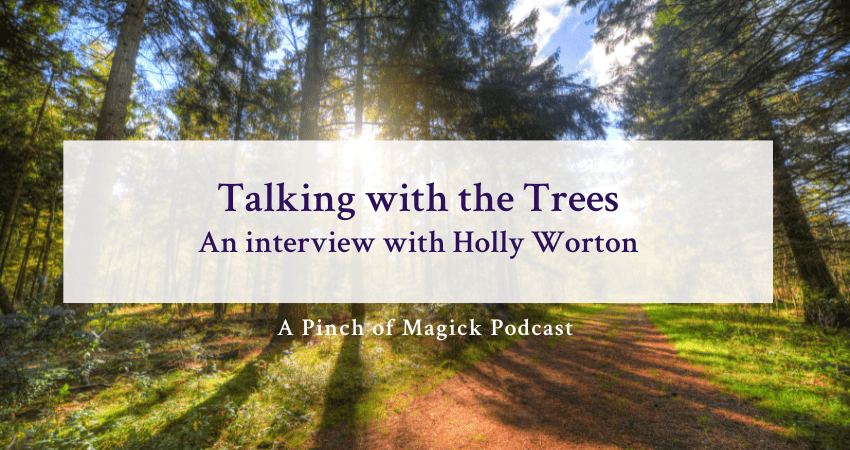 If Trees Could Talk: Life Lessons from the Wisdom of the Woods by Holly  Worton